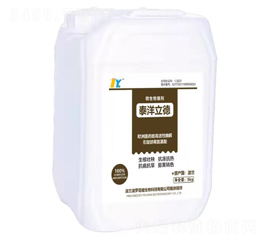 ���������-̩������-̩������