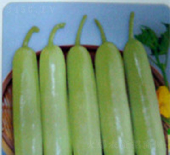 ����-�S�ϷN��-���A�N�I(y��)