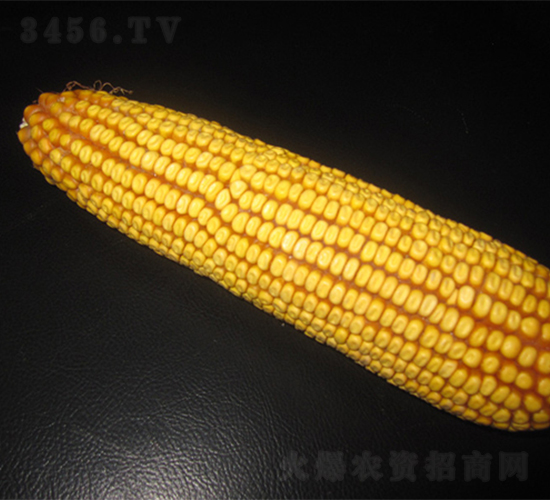 �r(n��ng)��10-���׷N��-�r(n��ng)��N�I(y��)