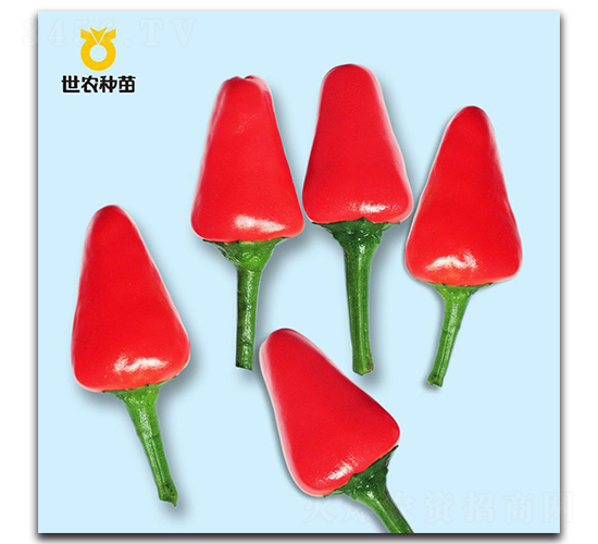 �׿���-�����N��-���r(n��ng)�N��