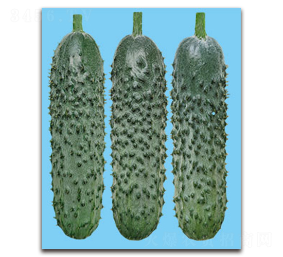 ����-�S�ϷN��-�S�{�N��