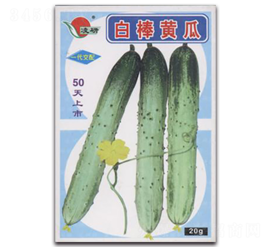 �װ��S��-�S�ϷN��-�ʴ��r(n��ng)�I(y��)