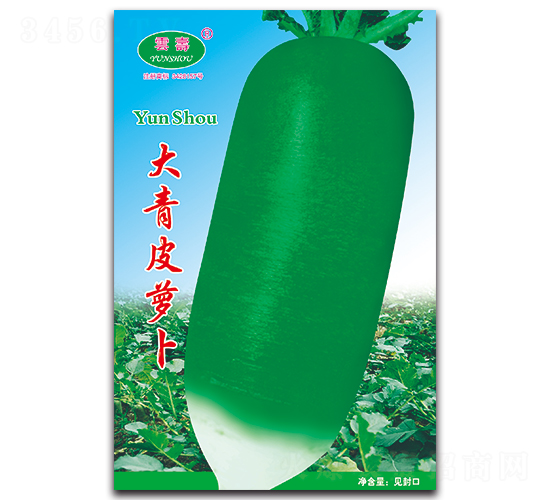 大青皮蘿卜-蘿卜種子-云壽