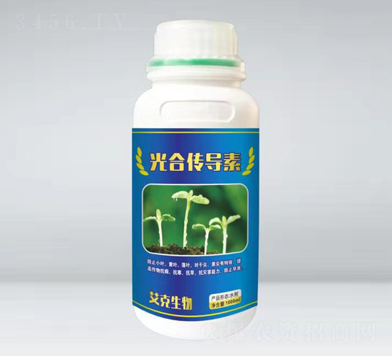 ��ς���(d��o)�أ�ƿ��-��������