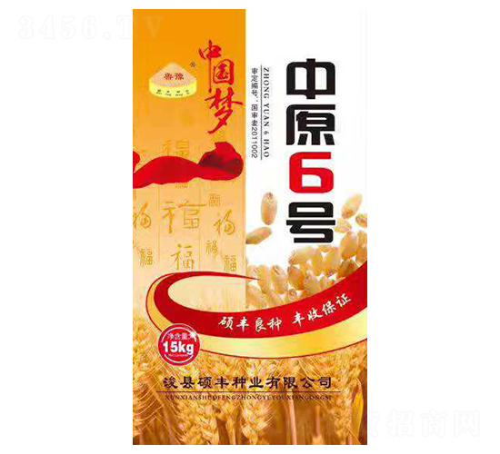 中原6號-小麥種子-碩豐