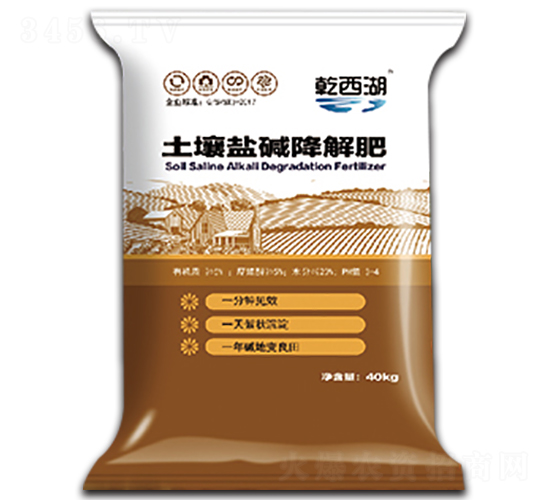 �����}�A�����-ʥ������