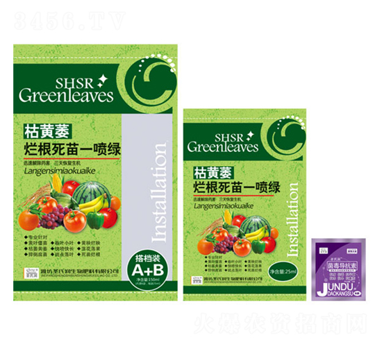 枯黃萎爛根死苗一噴綠-圣氏潤