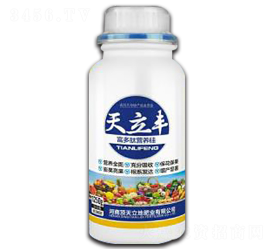 �����ĠI(y��ng)�B(y��ng)��-�����S-�������