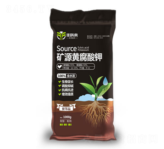 �VԴ�S�����-�S�Ɓ�-������