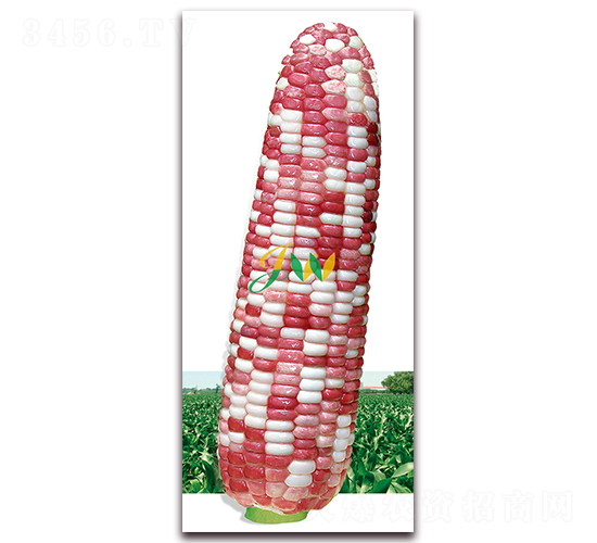 �f(w��n)��ǧ�t-�rʳ���׷N��-�I(y��ng)�ھ���