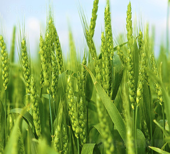 δ��0818-С���N��-δ���N�I(y��)