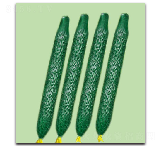 壽育3號-黃瓜種子-三木種苗