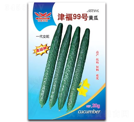 津福99號黃瓜-黃瓜種子-科翔種業(yè)