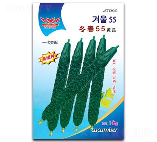冬春55黃瓜-黃瓜種子-科翔種業(yè)