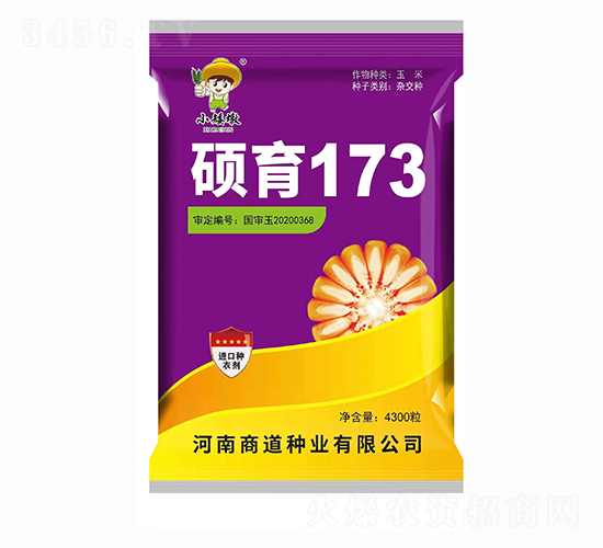 碩育173【4300?！?玉米種子-商道種業(yè)