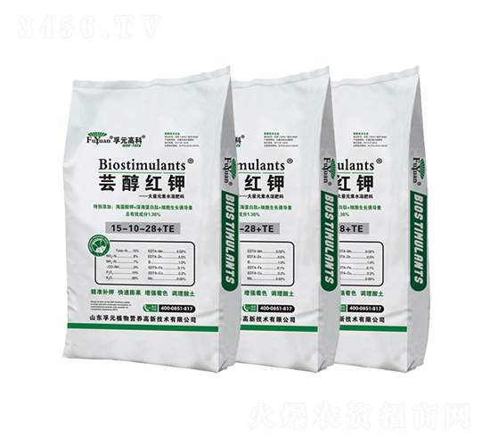 �|���t�-��Ԫ