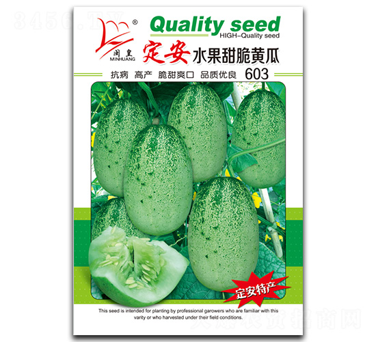 定安水果甜脆黃瓜603-黃瓜種子-閩皇種業(yè)
