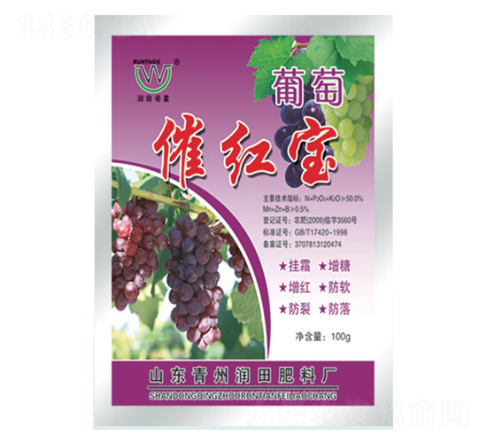 ���Ѵ߼t��-�������