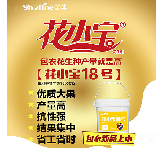 ��С��18̖-�����N��-ʥ�S�N�I(y��)