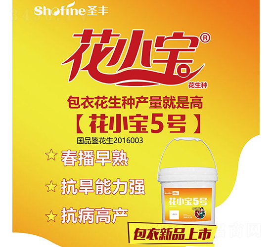 ��С��5̖-�����N��-ʥ�S�N�I(y��)