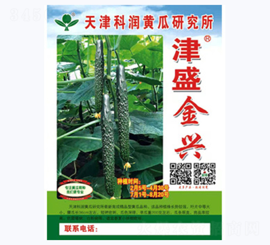 津盛金興-黃瓜種子-科潤種業(yè)