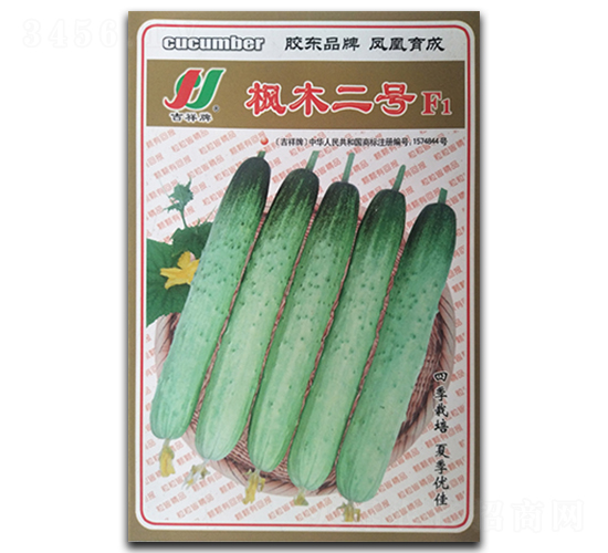 楓木二號(hào)F1-黃瓜種子-鳳凰種業(yè)