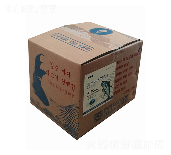 �ͺ��~�������w��-�ۄ�