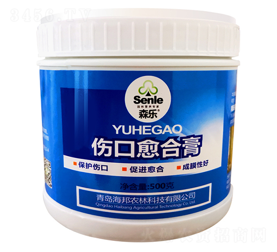 �������ϸ�-ɭ��-�����r(n��ng)��