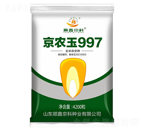 京農玉997-順鑫京科-農邦樂