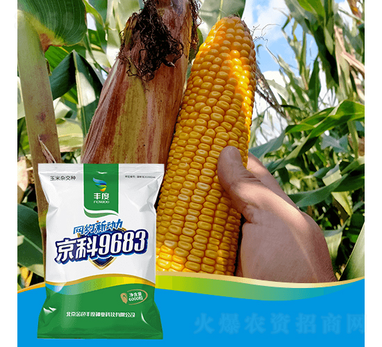 ����9683-���׷N��-�S�ȸ߿�