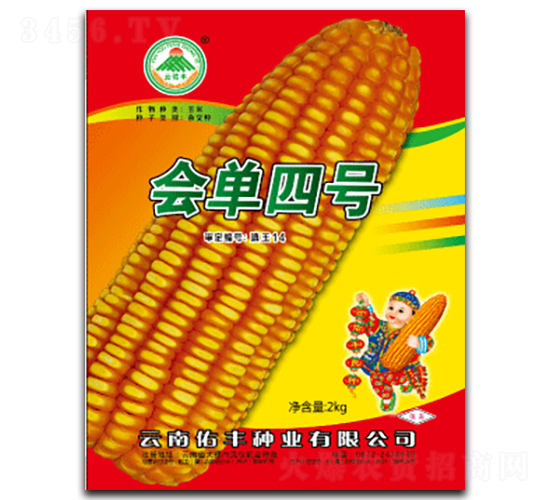 會(huì)單四號(hào)-玉米種子-云南佑豐種業(yè)