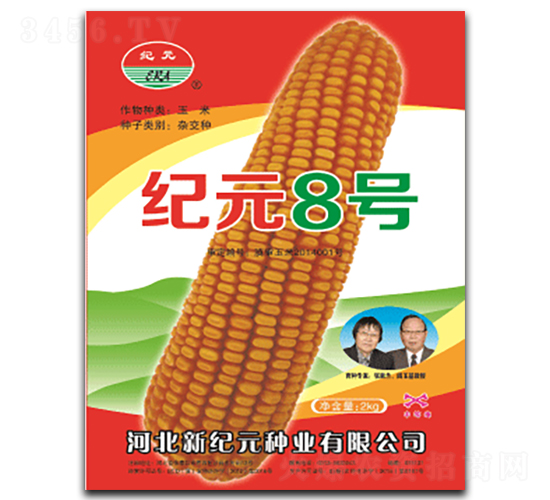 紀元8號-玉米種子-云南佑豐種業(yè)