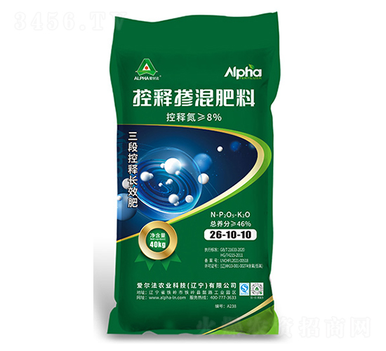 ��ጓ������26-10-10-�۠���