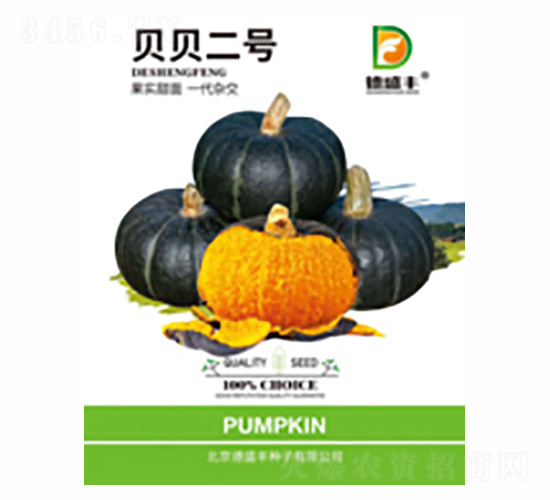 ؐؐ��̖-��ʢ�S