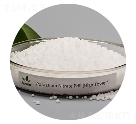 ������w��-�۸�˼�_