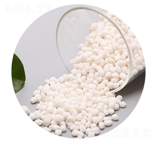 �����@�w��-�۸�˼�_