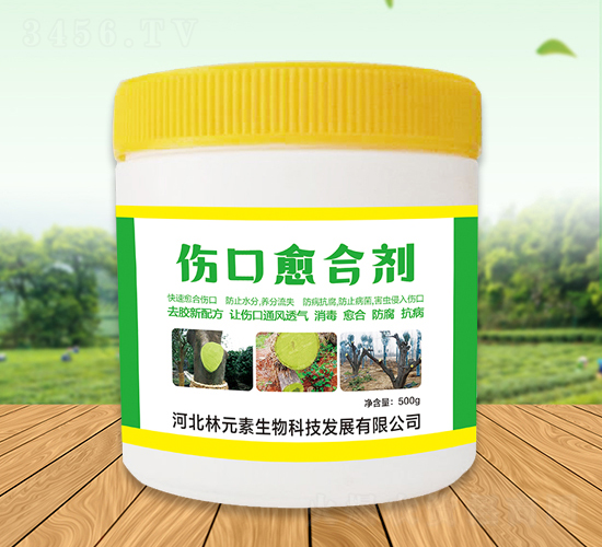 �������τ�-��Ԫ��