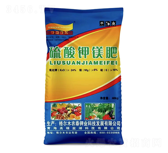 ������V��-�r(n��ng)̩⛘I(y��)