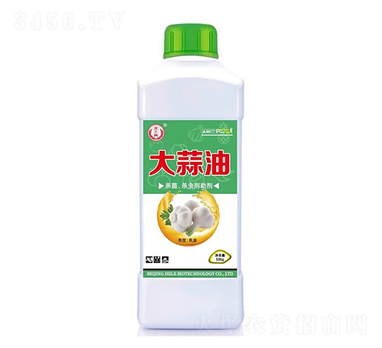 �����͚������x(ch��ng)����-���S�@-�̘�(l��)����