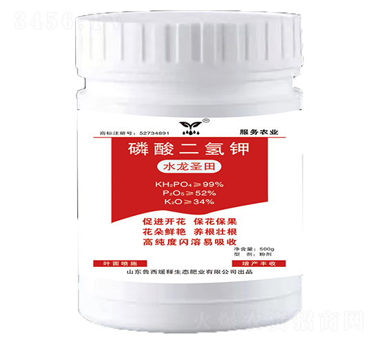 ��������-ˮ��ʥ��-�������