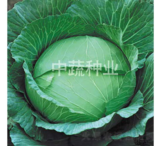 ���Sһ̖(h��o)���x-���{(l��n)�N��-���߷N�I(y��)