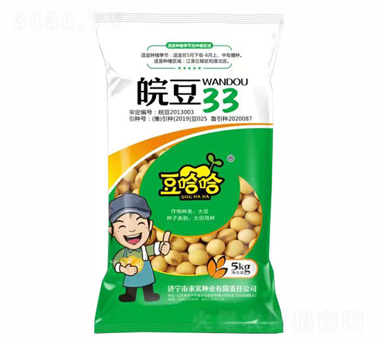皖豆33-豆哈哈-求實種業(yè)