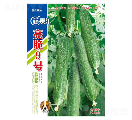 ����9̖-�S�ϷN��-�ٹ��R-���~���H