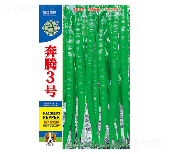 奔騰3號-辣椒種子-海邁國際