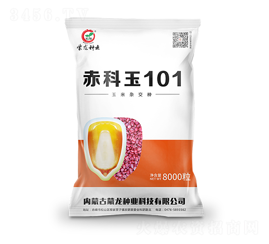 赤科玉101-玉米種子-蒙龍種業(yè)