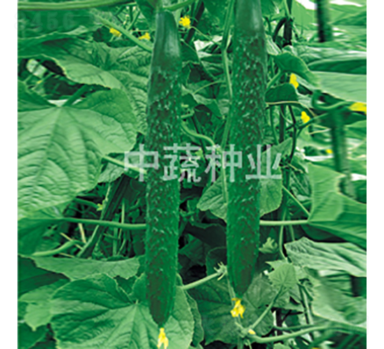 ���r(n��ng)128̖-�S�ϷN��-���߷N�I(y��)