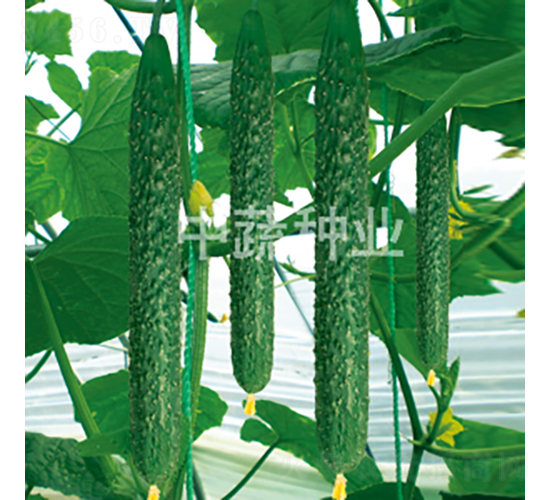 ���r(n��ng)28̖-�S�ϷN��-���߷N�I(y��)