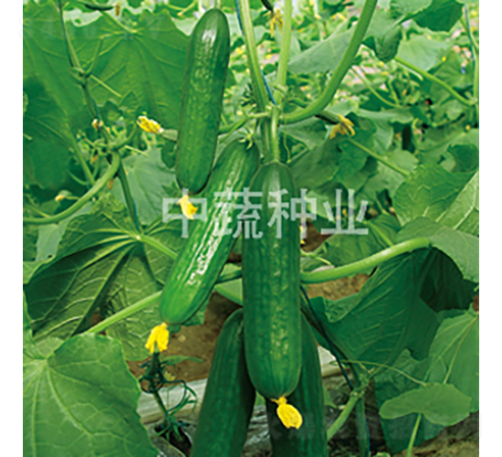 ���r(n��ng)29̖-�S�ϷN��-���߷N�I(y��)