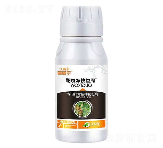 �а߃�������-ݮݮ��-�����