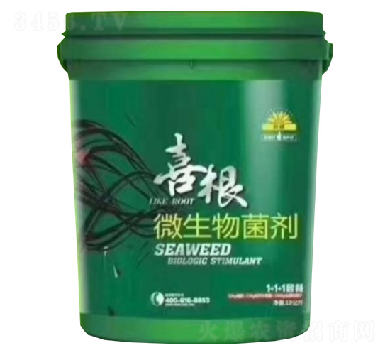 ΢�������-ϲ��-���r�A